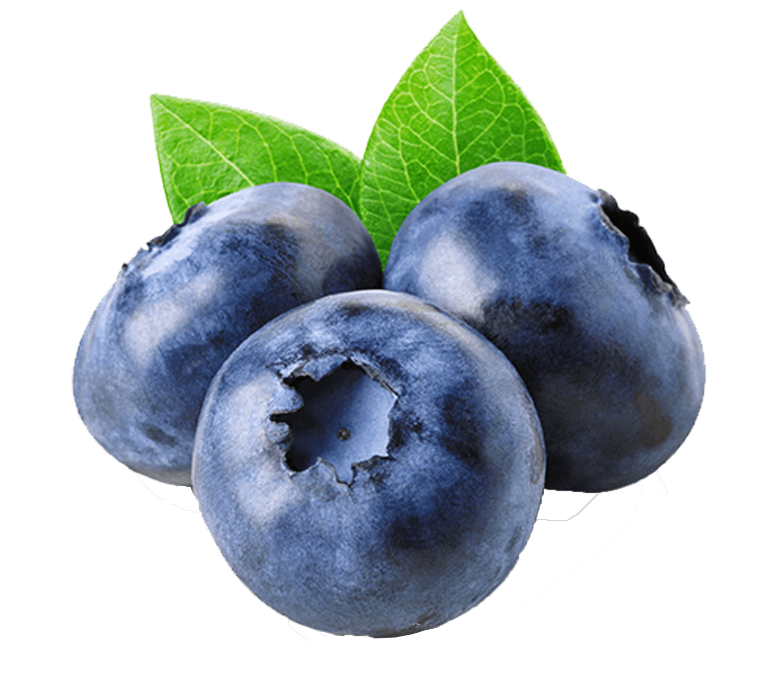Three fresh blueberries